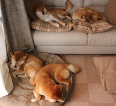 两种防守,一种胜利哲学,热火锁死山西队与霍勒迪接管NBA季后赛