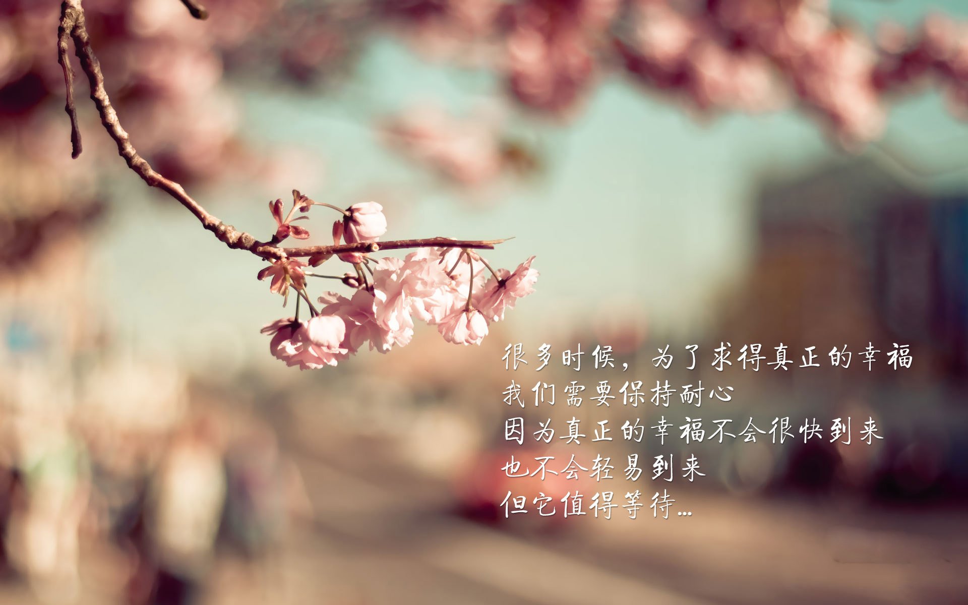 开云体育app-跨界绝杀！2026世界杯篮球规则焦点战，广厦式配合终结魔术时刻