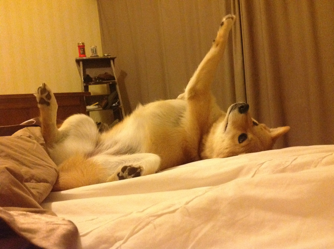 爆冷,体育世界里唯一的确定性