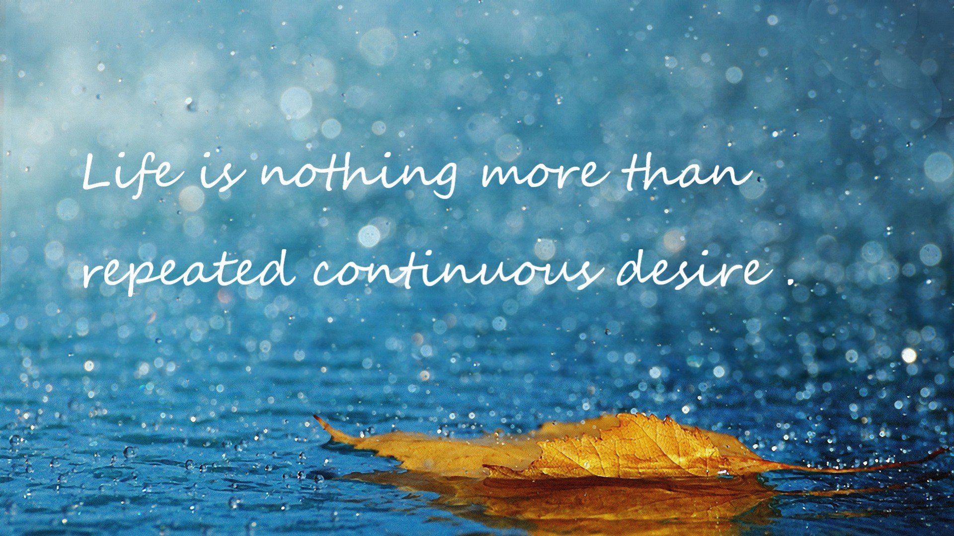 开云体育入口-狂胜与孤勇，一场47分的团队风暴，一次73分的时代暗语