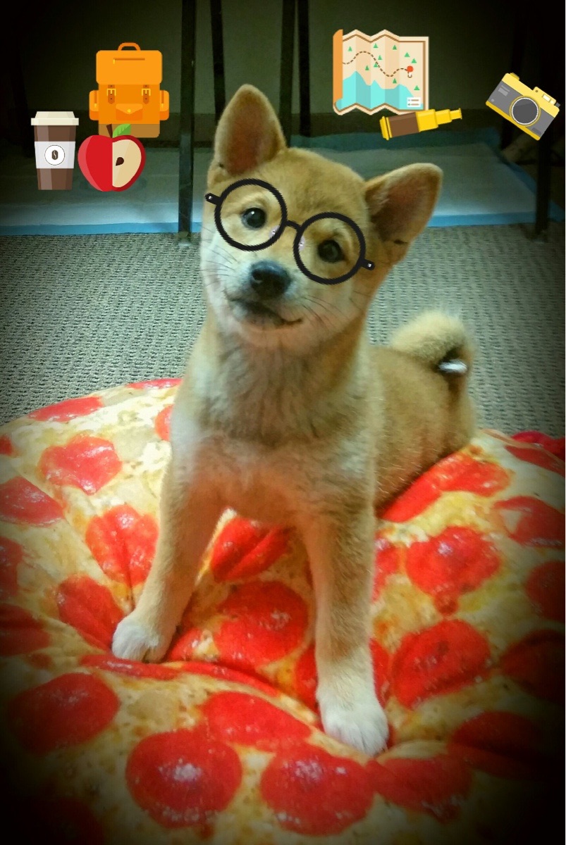 开云体育官网-石油权杖与黄昏加冕，当沙漠资本碾过新月弯刀，绿茵老炮接管青春风暴