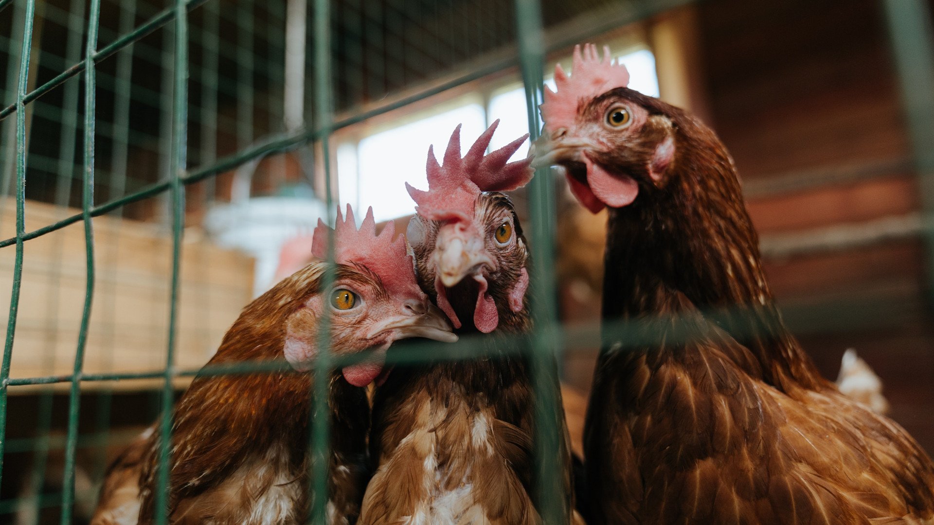 开云体育app-破晓时分，当欧冠决赛的魔法在太阳耀斑中消散