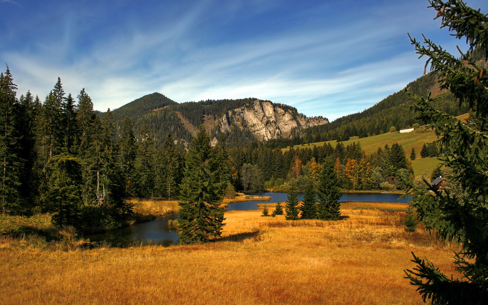 开云体育官网-2026世界杯狂欢夜，独行侠跨界制霸广东队，篮球与足球的梦幻碰撞