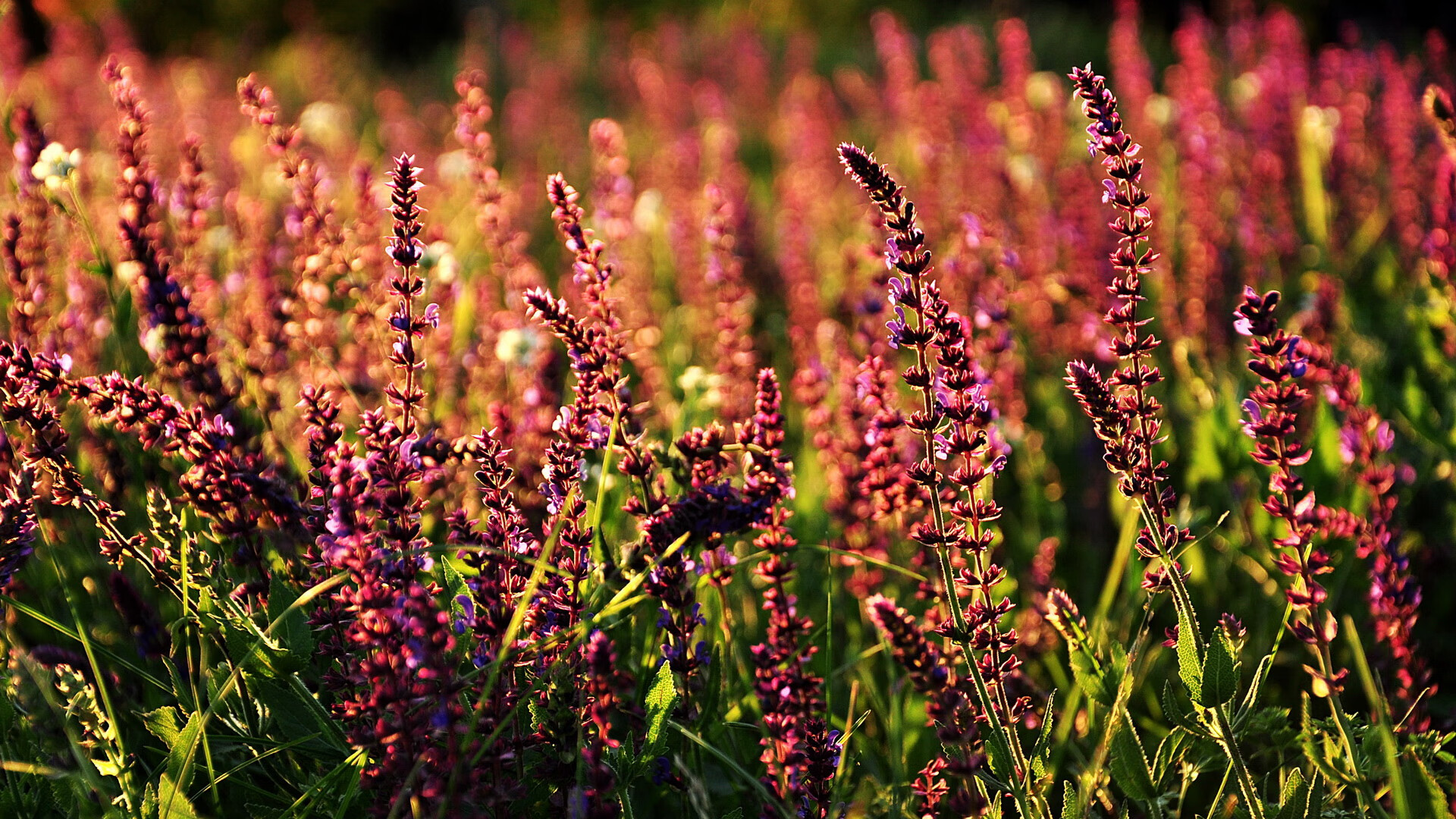 开云体育app-秩序裂变，世界排名争夺战的烽火，在乌克兰终结瑞士一役中诞生新王