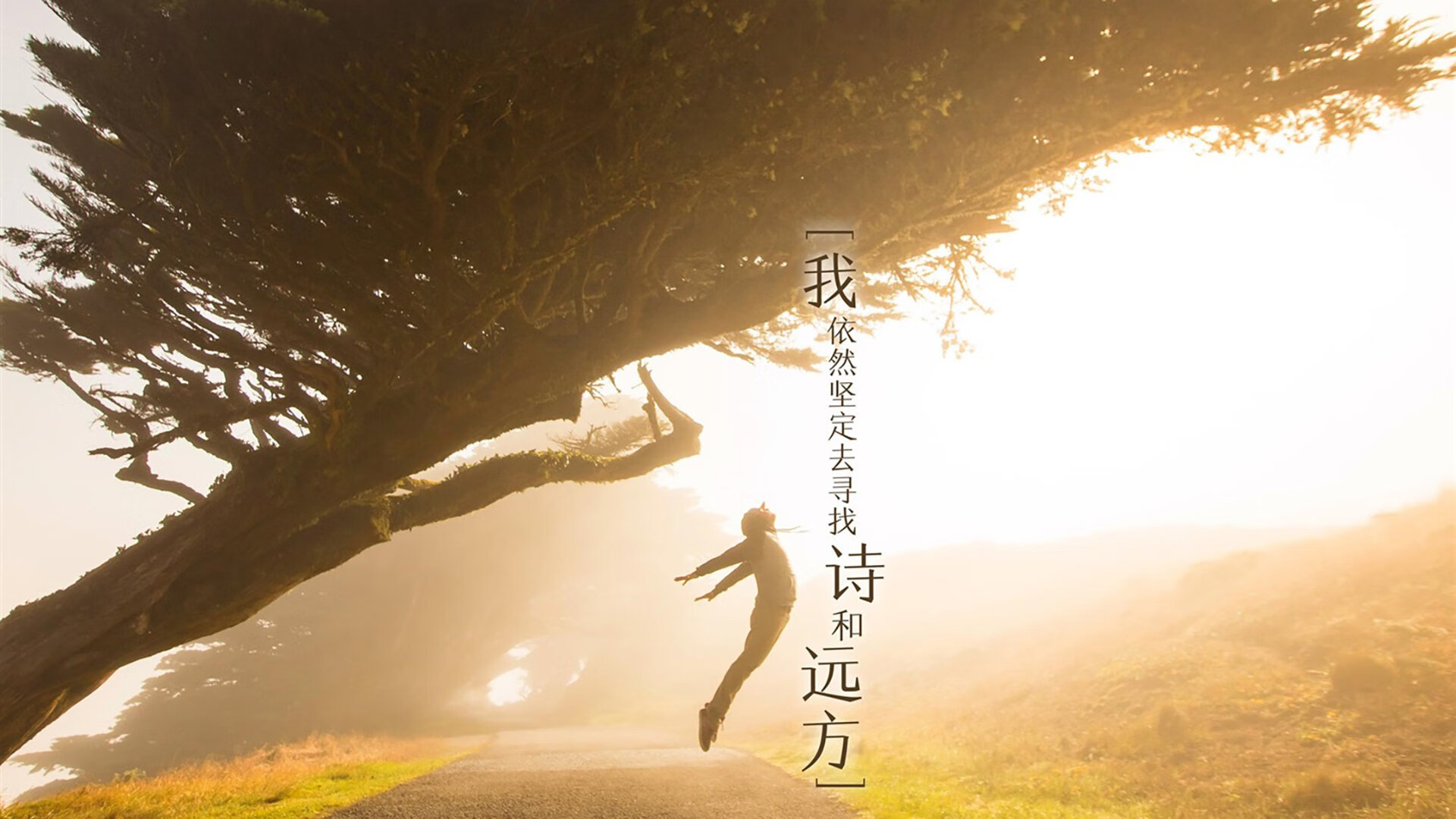 军团式调色师,当基米希的轨迹为新罗马重绘瑞典版图