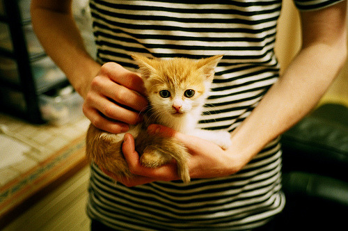 开云体育中国-双线叙事，F1的杆位争夺与足球的硬仗胜利