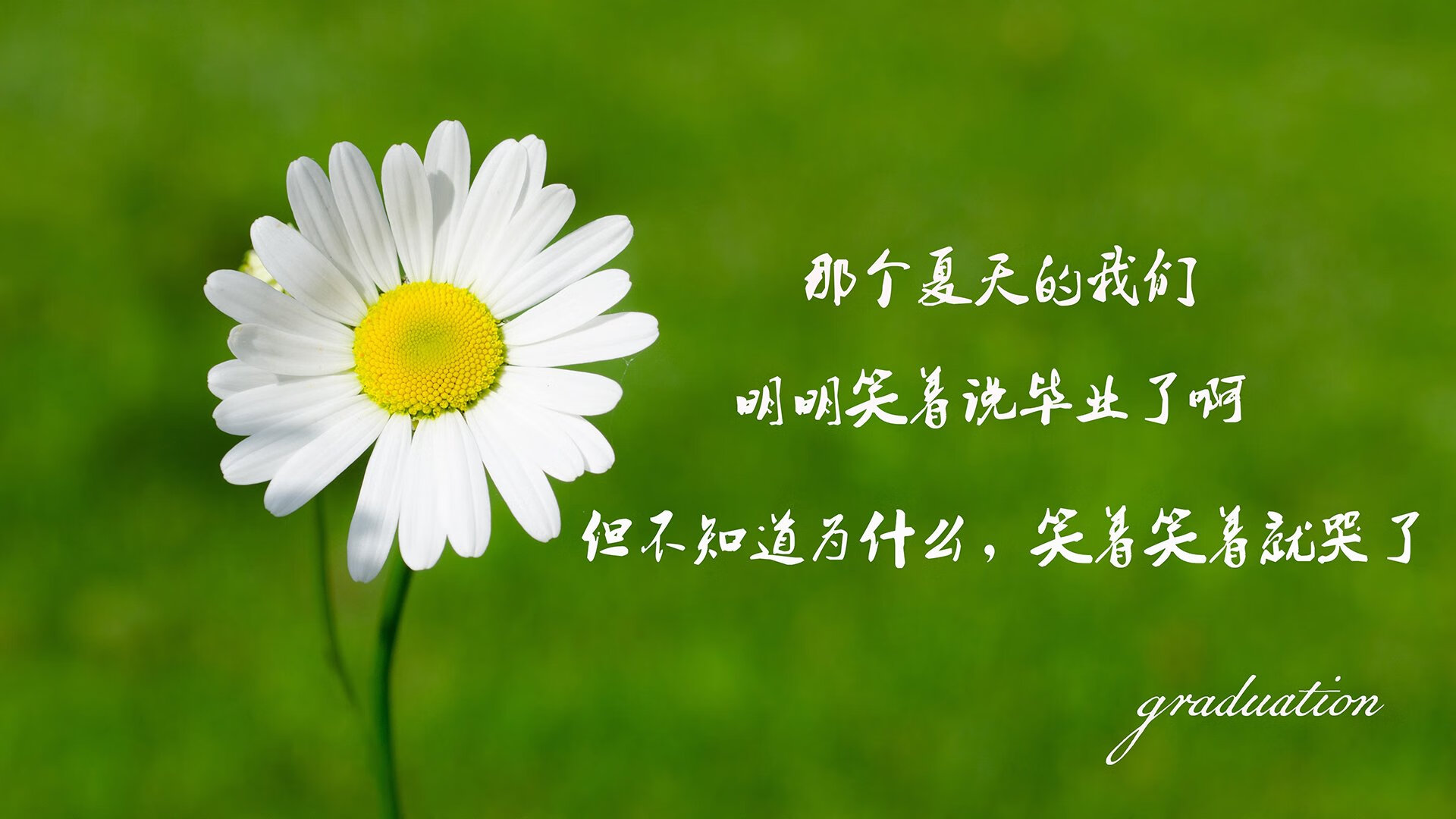 这是一篇为您定制的文章
