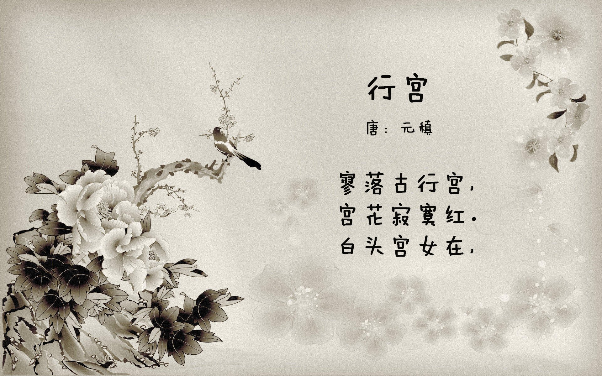 悬崖边的探戈,2026世界杯F组,阿根廷绝境逢生,罗德里戈是那道划破夜空的闪电