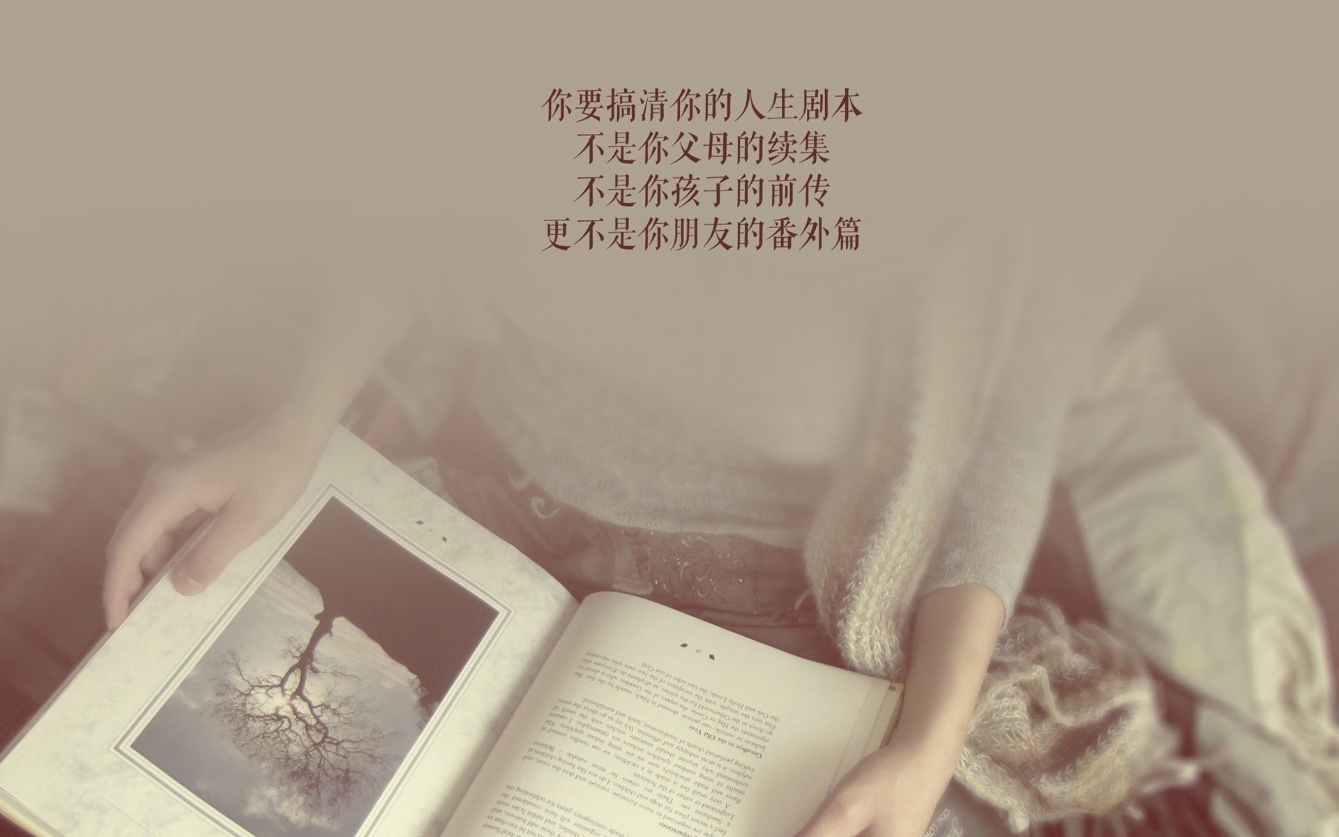 颠覆与涅槃，当足球新大陆推翻旧王朝—2026世界杯F组焦点战，费利克斯·卡瓦略用一场神之战为美国足球加冕